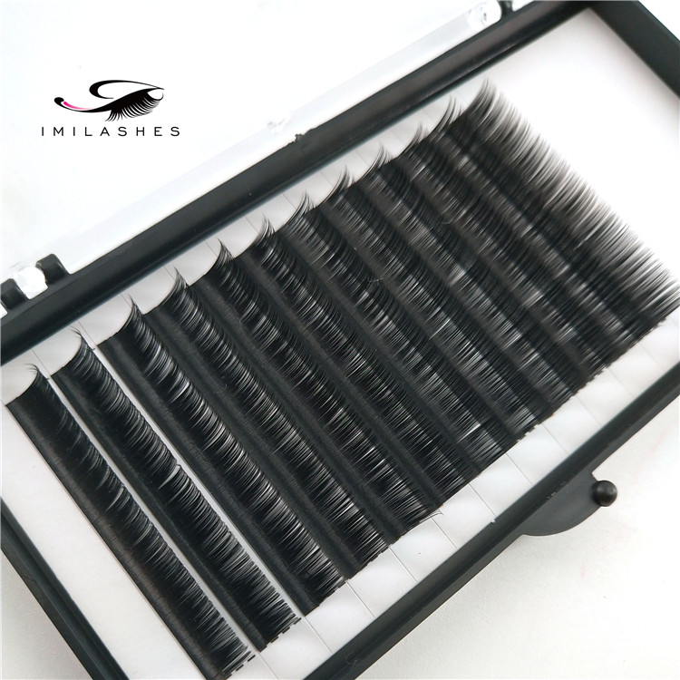 Camellia Eyelash Extensions supplier in China.jpg